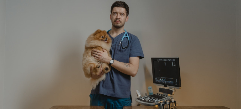 Vet and dog in Austin